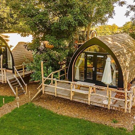 Boomhuis - Vakantiepark de Schreiershoek Dokkum Buitenkant foto