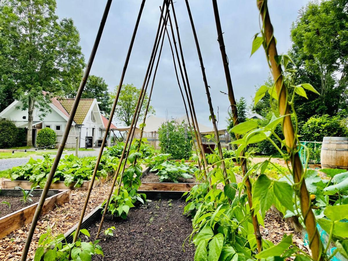 Boomhuis - Vakantiepark de Schreiershoek Dokkum Buitenkant foto
