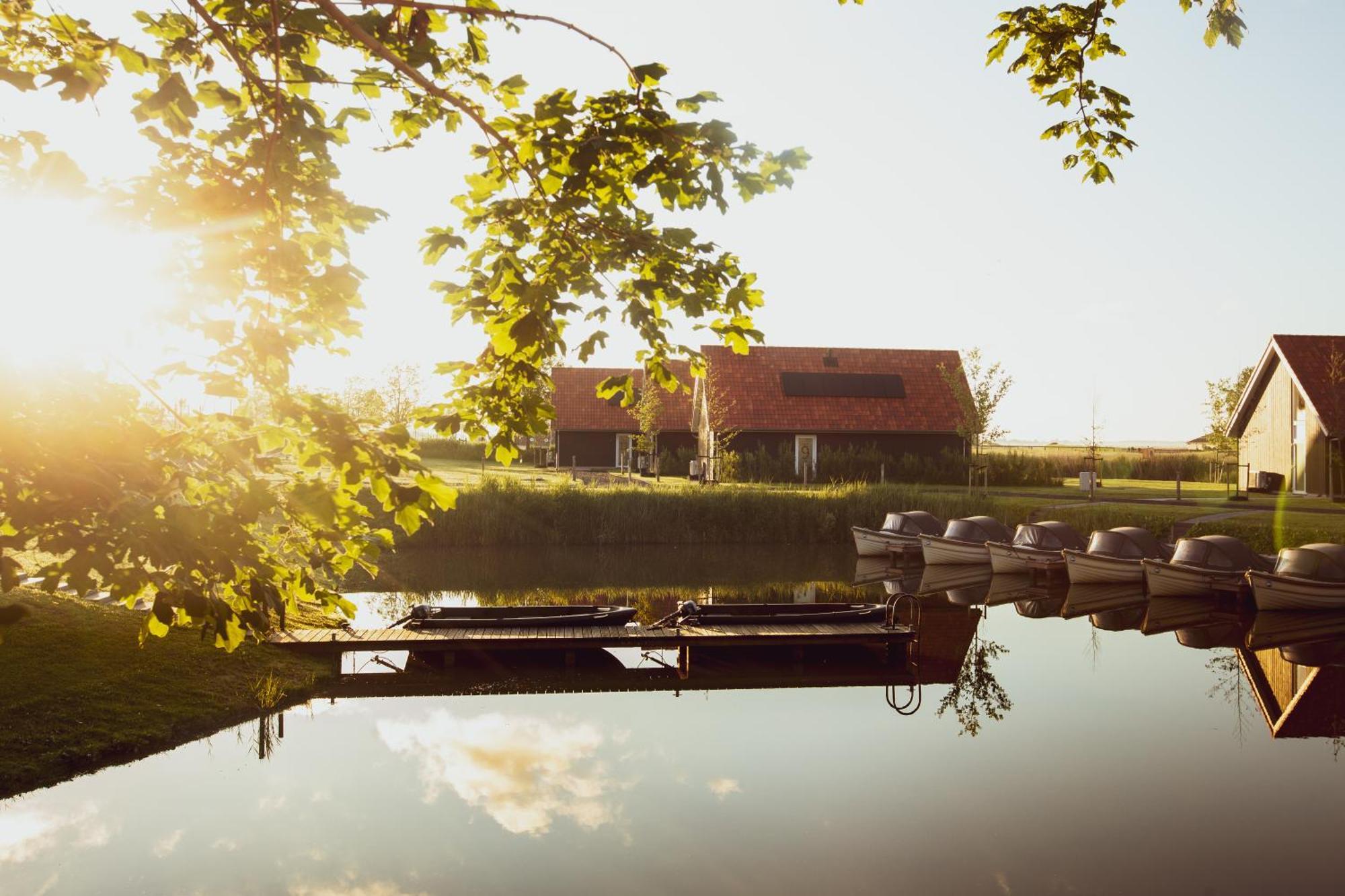 Boomhuis - Vakantiepark de Schreiershoek Dokkum Buitenkant foto
