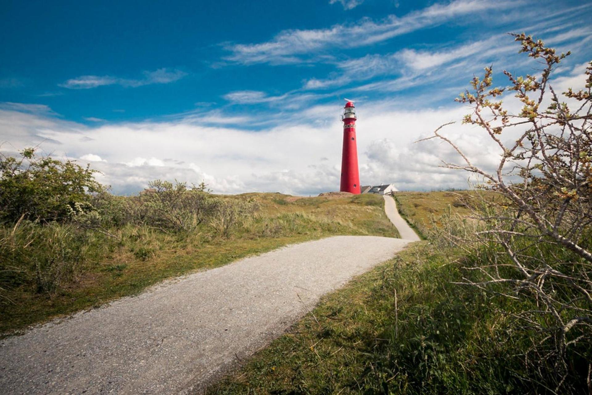 Boomhuis - Vakantiepark de Schreiershoek Dokkum Buitenkant foto