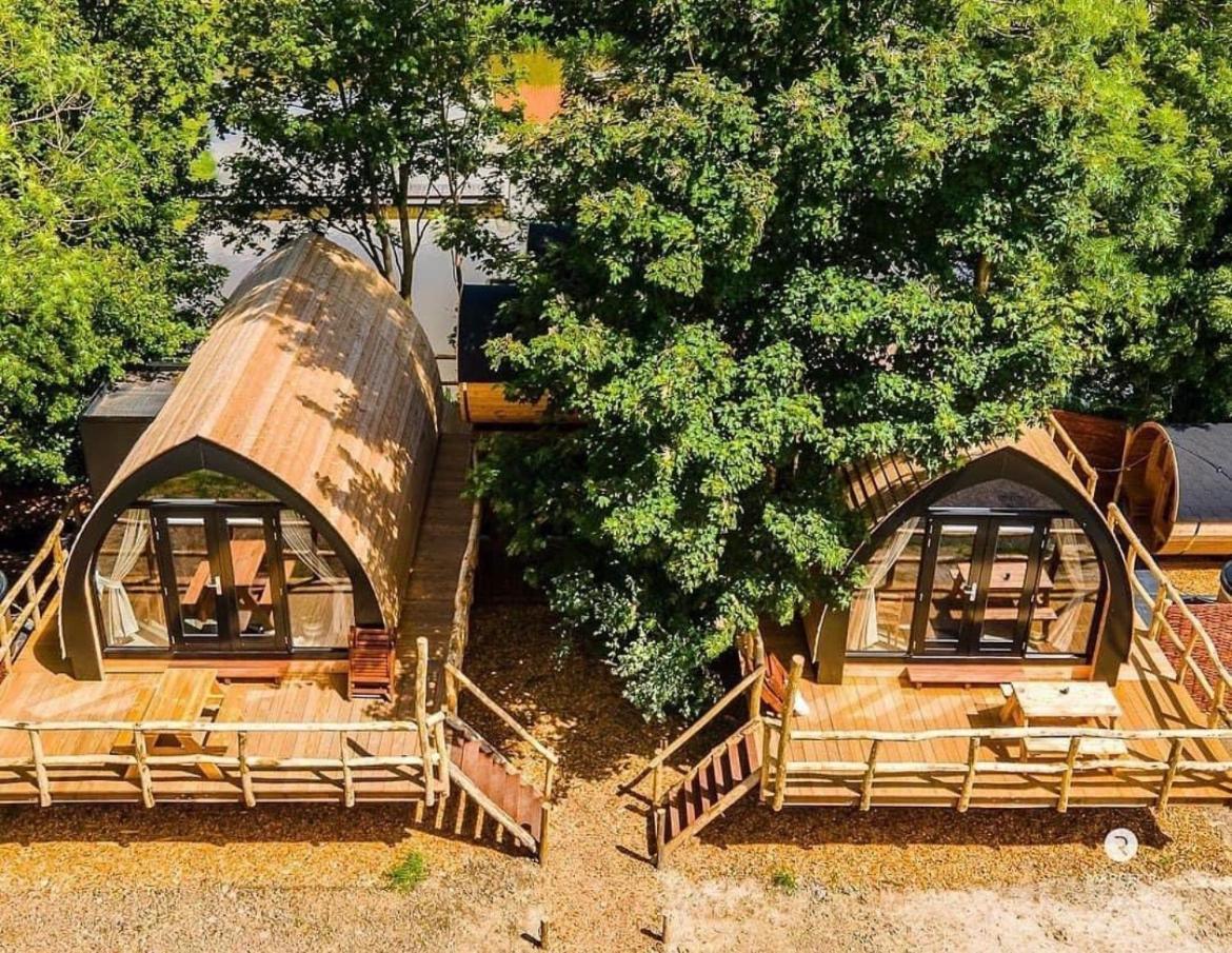 Boomhuis - Vakantiepark de Schreiershoek Dokkum Buitenkant foto