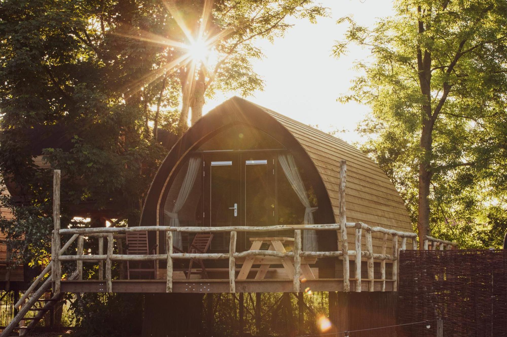 Boomhuis - Vakantiepark de Schreiershoek Dokkum Buitenkant foto