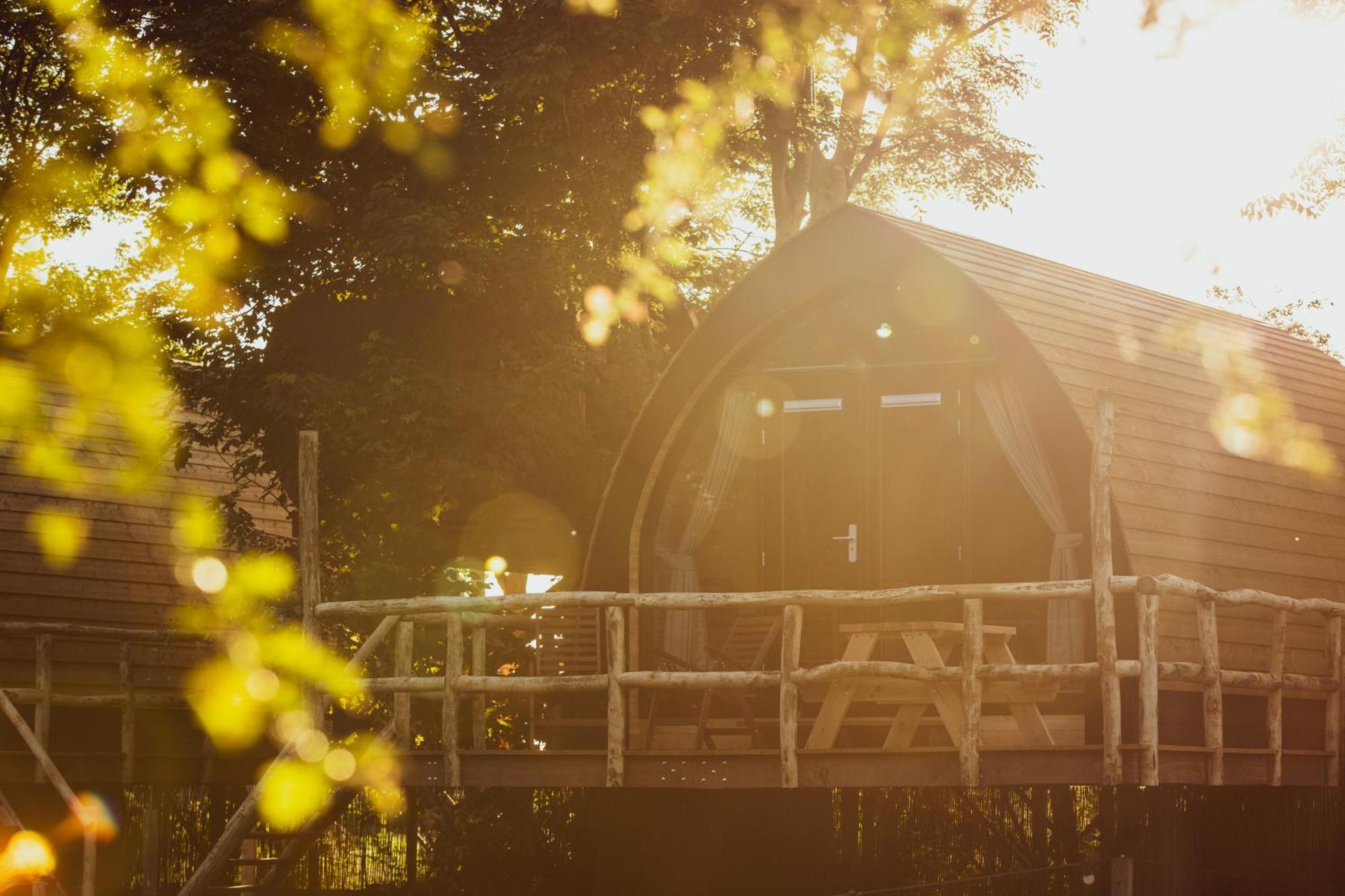 Boomhuis - Vakantiepark de Schreiershoek Dokkum Buitenkant foto