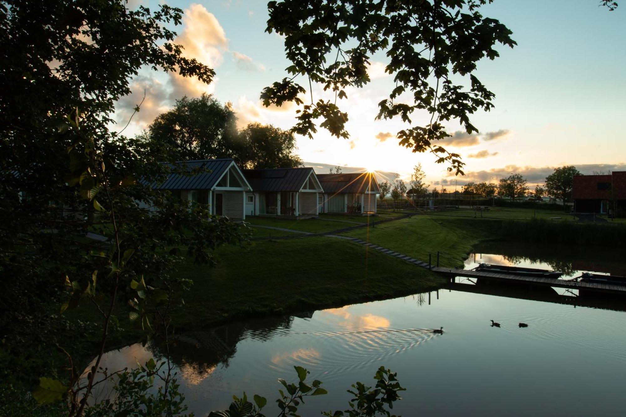 Boomhuis - Vakantiepark de Schreiershoek Dokkum Buitenkant foto